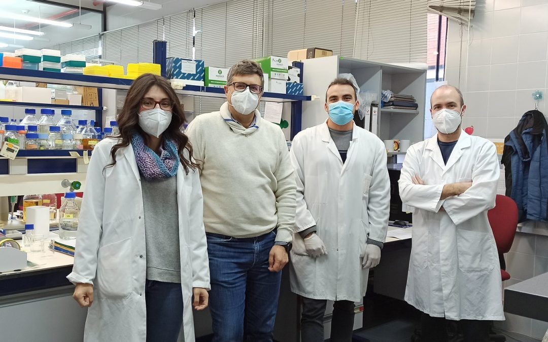 Investigadores del CSIC patentan un nuevo método para producir un potente antioxidante del aceite de oliva