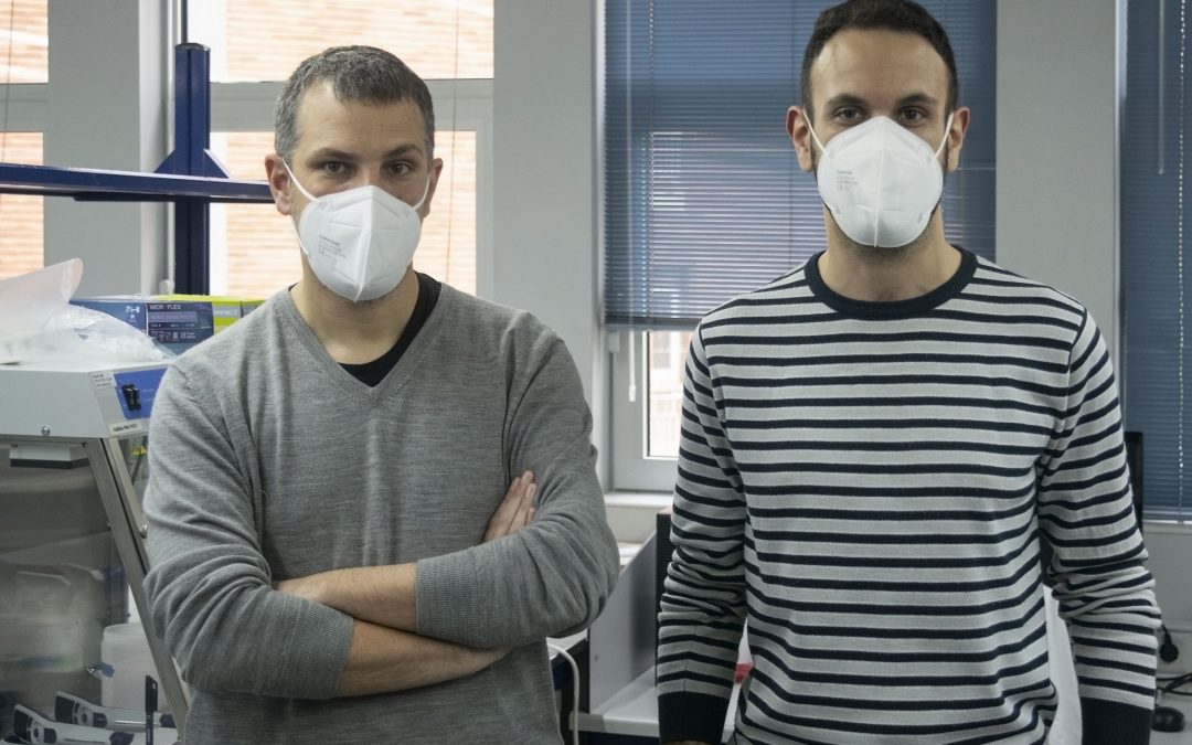 Un estudio del CSIC revela que las infecciones múltiples son comunes en tuberculosis multirresistente