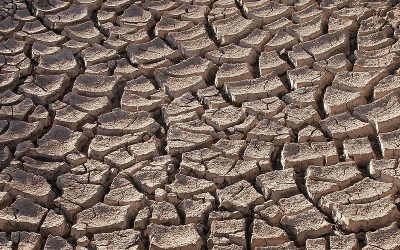 El CIDE compleix 25 anys d’investigació contra la desertificació i la sequera