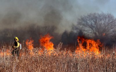 Un estudio del CSIC revela los ingredientes de los grandes incendios forestales