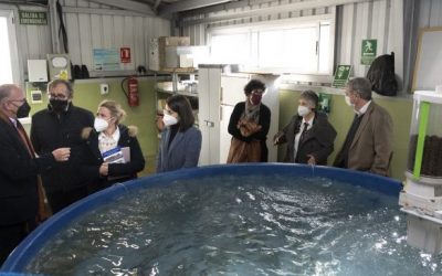 El Instituto de Acuicultura Torre de la Sal y la Diputación de Castellón celebran los 50 años de investigación científica marina en Cabanes