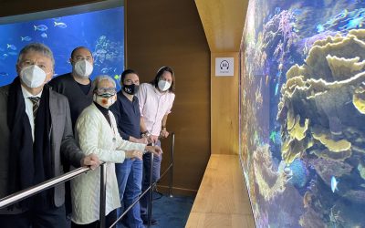 El CSIC y el Oceanogràfic analizan los efectos del cambio climático en corales y moluscos con una técnica pionera en España