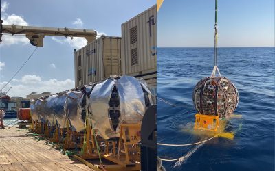 Relevo entre los telescopios de neutrinos ANTARES y KM3NeT, donde participa el IFIC