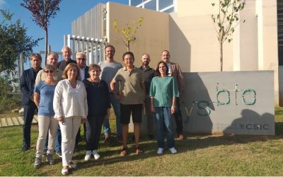 El CSIC lidera un projecte europeu per a obtindre hidrogen verd a partir de bacteris