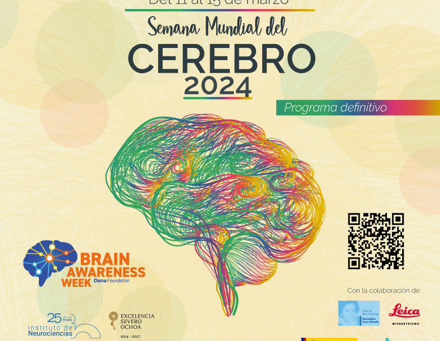 L’Institut de Neurociències celebra la Setmana del Cervell 2024