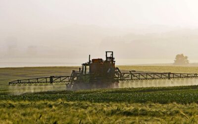 Un estudi liderat pel CSIC avalua el risc de la presència de fitosanitaris en Doñana i Taules de Daimiel
