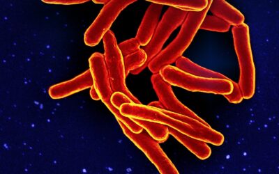 Desarrollan un método de secuenciación genómica que acelera el diagnóstico de la tuberculosis a partir de esputos del paciente