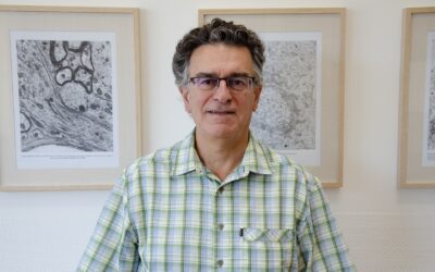 El investigador del CSIC Félix Viana coordina un proyecto internacional para estudiar las bases moleculares de la percepción del frío