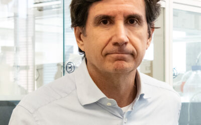 El CSIC y la UPV crearán un nuevo sensor de rayos X capaz de diagnosticar por imagen enfermedades pulmonares