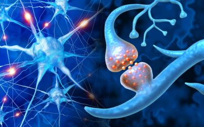 Descubren cómo los antidepresivos activan un receptor clave en la plasticidad neuronal