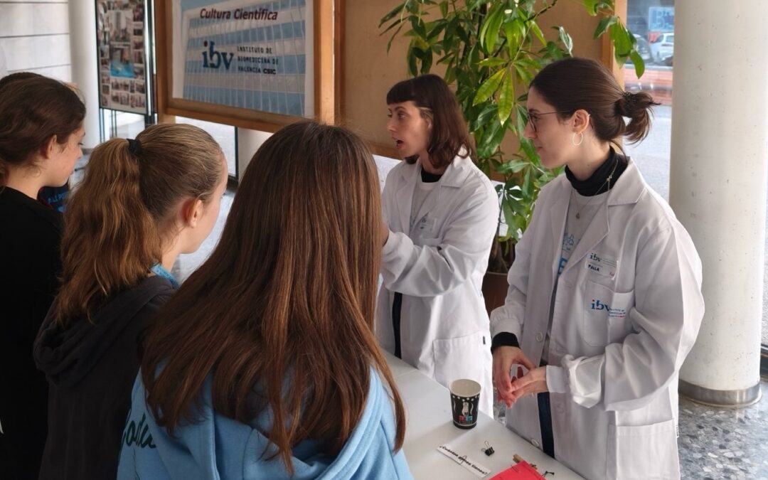 El CSIC en la Comunitat Valenciana celebra la Semana de la Ciencia y la Tecnología