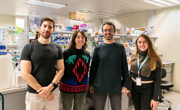 Un equipo del IBMCP descubre algunas de las claves que coordinan el crecimiento de los tallos de las plantas