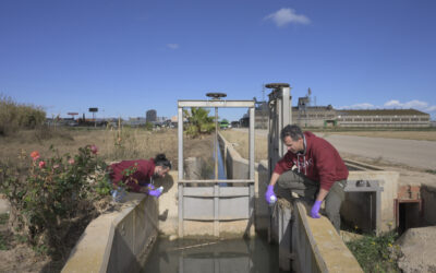 El CSIC analiza las aguas subterráneas afectadas por la DANA de Valencia