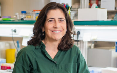 La principal asociación de alzhéimer de EE.UU. financia un estudio del Instituto de Neurociencias (CSIC-UMH)