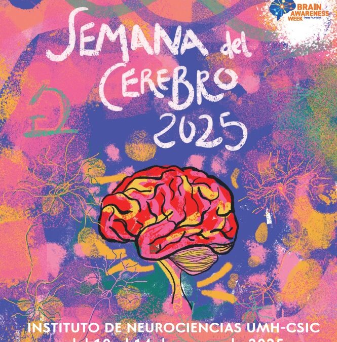 El Instituto de Neurociencias celebra la Semana del Cerebro con exposiciones, charlas, talleres y una mesa redonda sobre Santiago Ramón y Cajal
