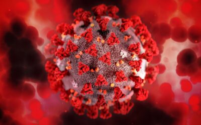 Desarrollan un antiviral de amplio espectro basado en una sustancia del caparazón de los crustáceos