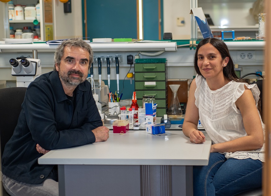 Javier Morante participa en una investigación puntera sobre el síndrome de ovario poliquístico financiada por La Marató de Cat3